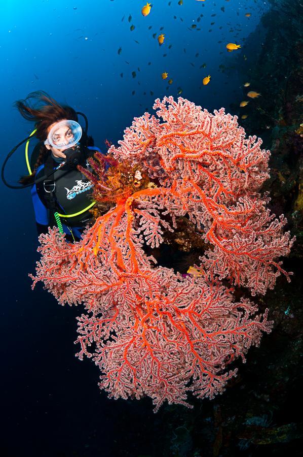 Benthos Bali Dive Resort Candidasa Kültér fotó